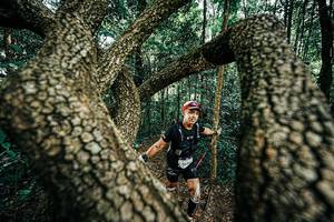 BIB: 
                            <button type="button" onclick="openModal(25394209)" class="btn btn-primary btn-sm float-right btn-popup" data-toggle="modal" data-target=".modal-high-quality">
                        <i class="fas fa-shopping-cart"></i> Add to Cart
                    </button>
                                            <button type="button" onclick="isThisMe(25394209, true)" class="btn btn-success btn-sm float-right btn-popup btn-isme hidden" data-toggle="tooltip" data-placement="bottom" title="นี่คือรูปของคุณใช่ไหม คลิกที่นี่เพื่อเอาเข้าอัลบั้ม">
                        <i class="fas fa-plus"></i> Add to album
                    </button>
                    <button type="button" onclick="isThisMe(25394209, false)" class="btn btn-warning btn-sm float-right btn-popup btn-isnotme hidden">
                        <i class="fas fa-ban"></i> Remove from album
                    </button>